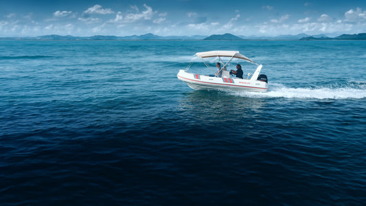 Barracuda 470