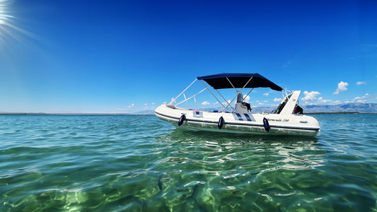Barracuda 530
