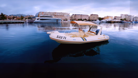 Barracuda 590